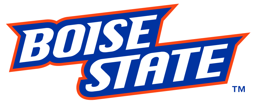 Boise State Broncos 2012-2013 Wordmark Logo diy iron on heat transfer